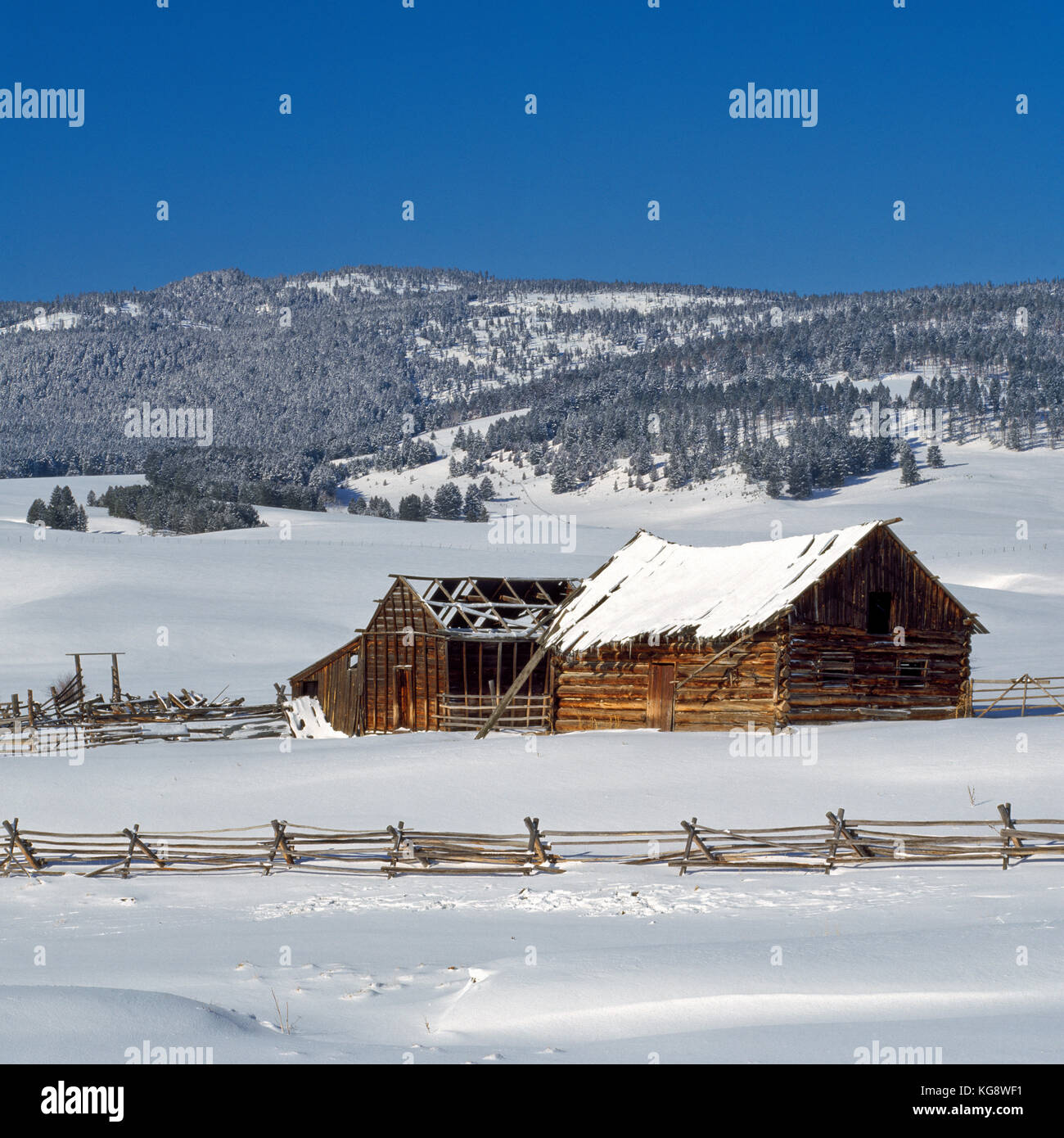 Alte Scheunen auf einer Ranch unterhalb der Granatkette im Winter in der Nähe von avon, montana Stockfoto