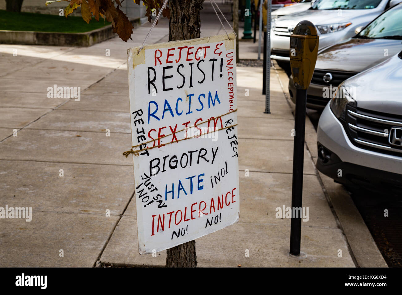 Lewisburg, PA - 4. November 2017: Ein selbstgemachtes Protestschild an einem Pol in der Innenstadt. Stockfoto