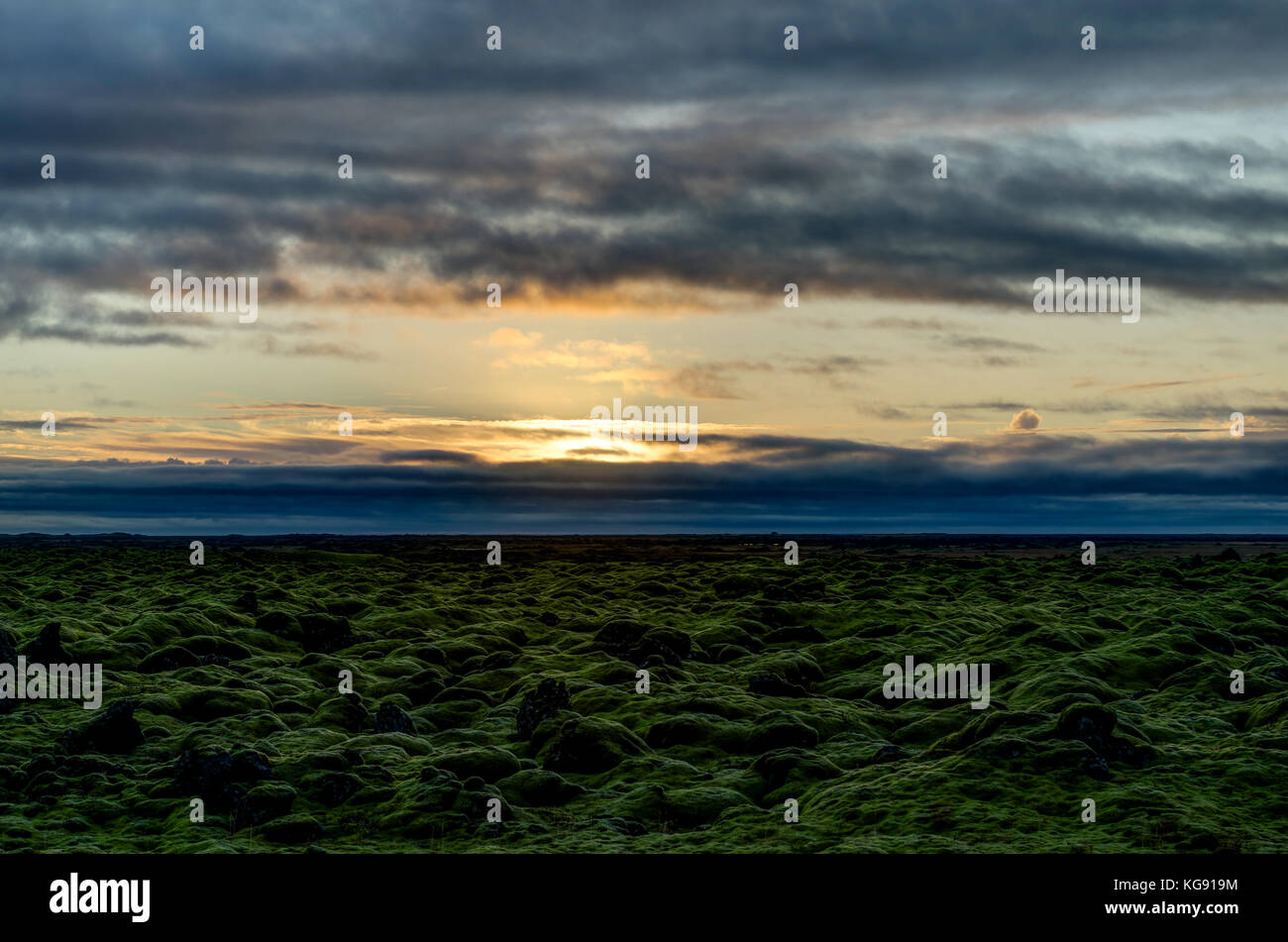 Sonnenuntergang über Island Landschaft mit grünen Moos während der Goldenen Stunde Stockfoto
