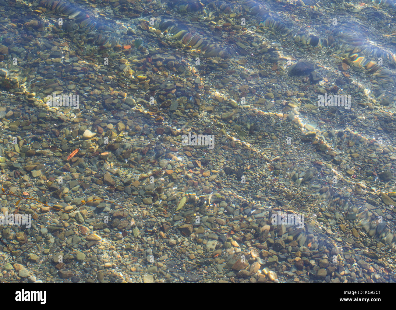 Steine in klares Wasser Stockfoto