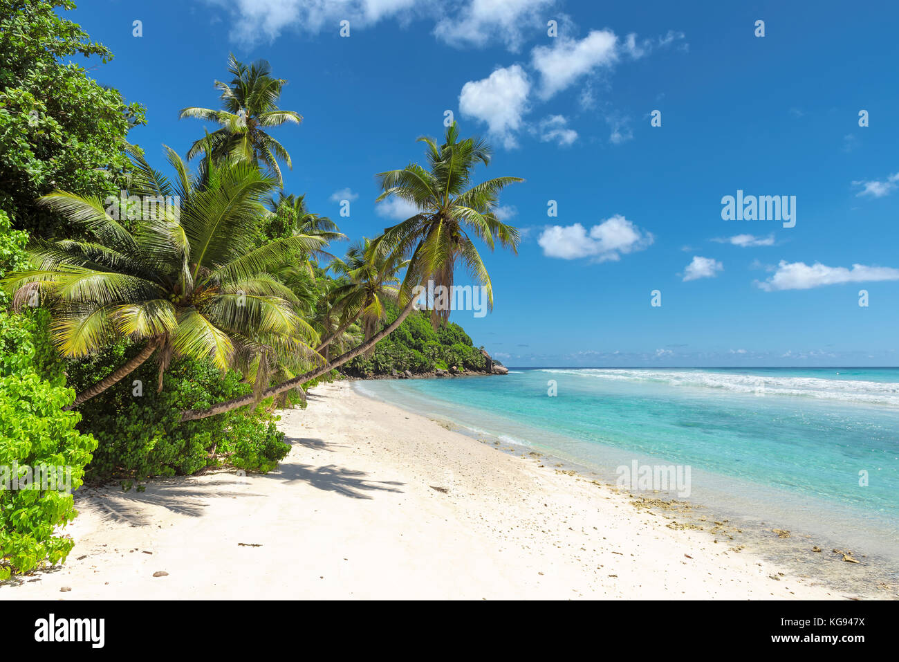 tropischer Strand Stockfoto