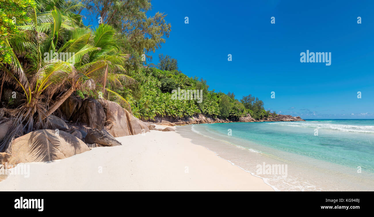 Unberührter Strand auf der tropischen Insel. Stockfoto
