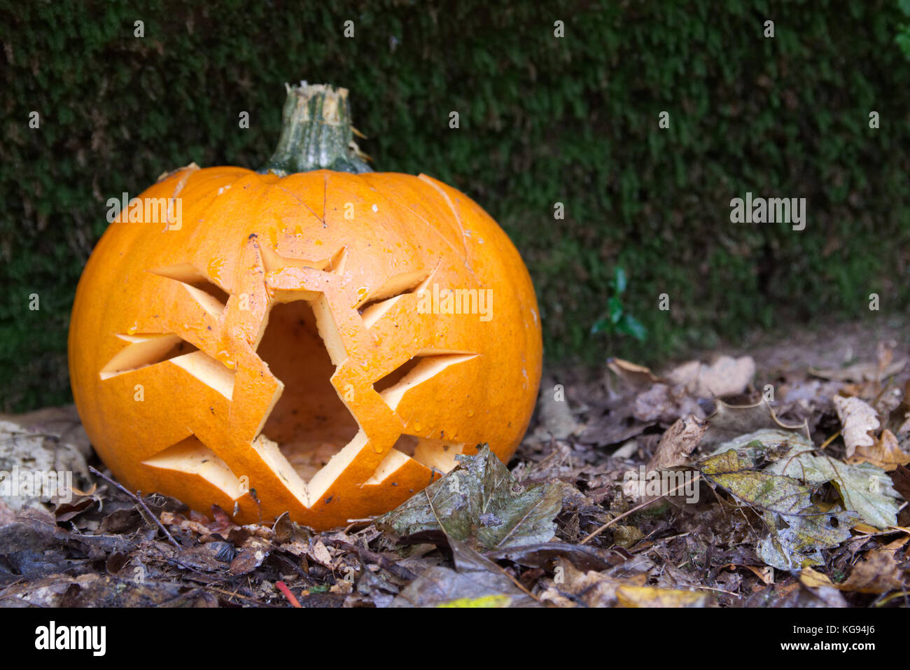 Gruselige Halloween Kürbis mit ausgeschnittenen Insekten auf dem Boden im Wald unter Blätter im Herbst Stockfoto