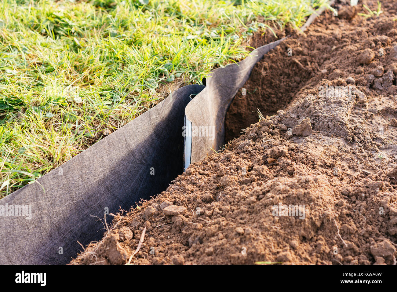 Root Barriere in einem Garten Grundstück für Himbeeren installiert. Stockfoto