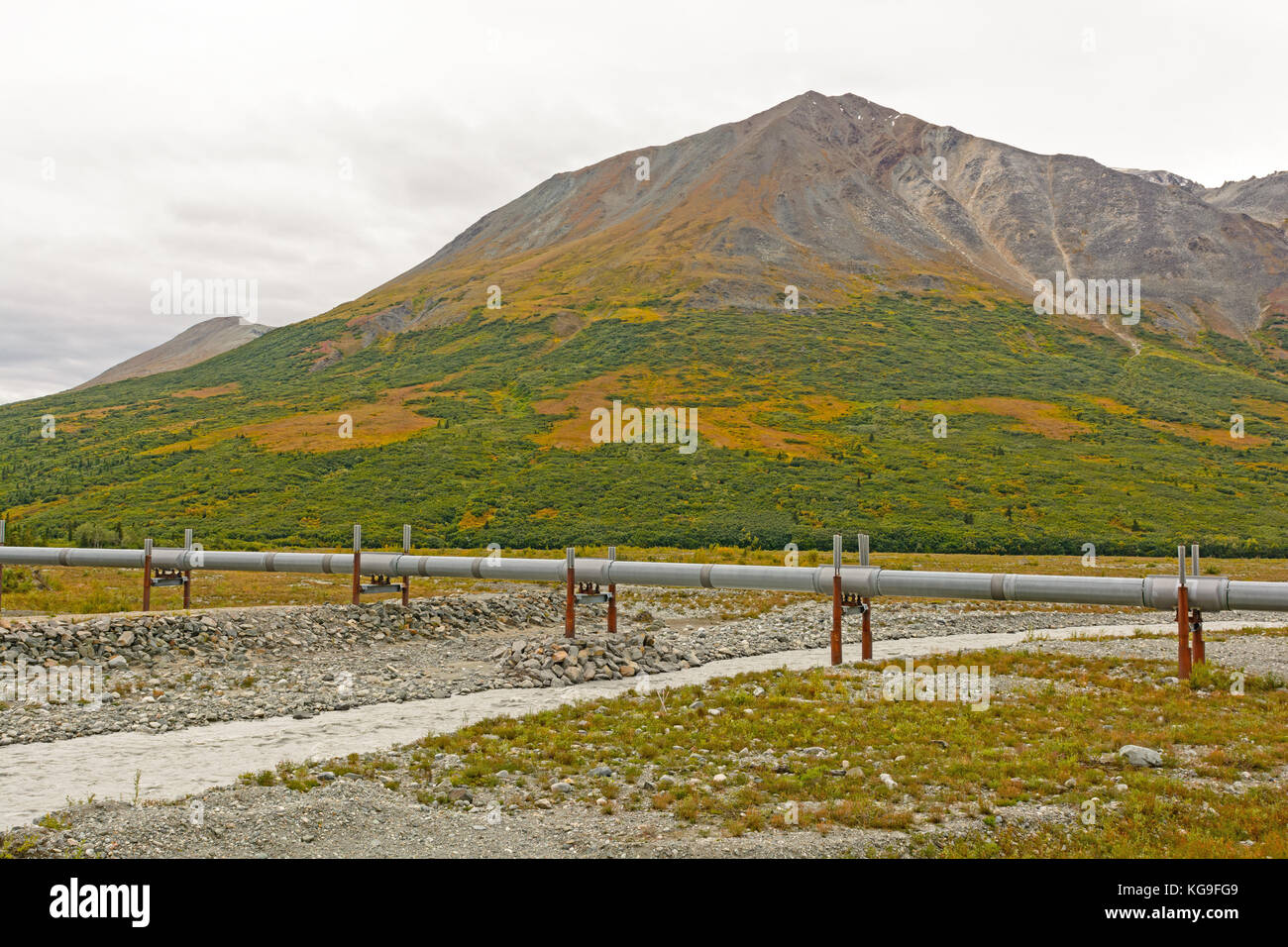 Alaska pipeline in der Tundra entlang der Richardson Highway in Alaska Stockfoto