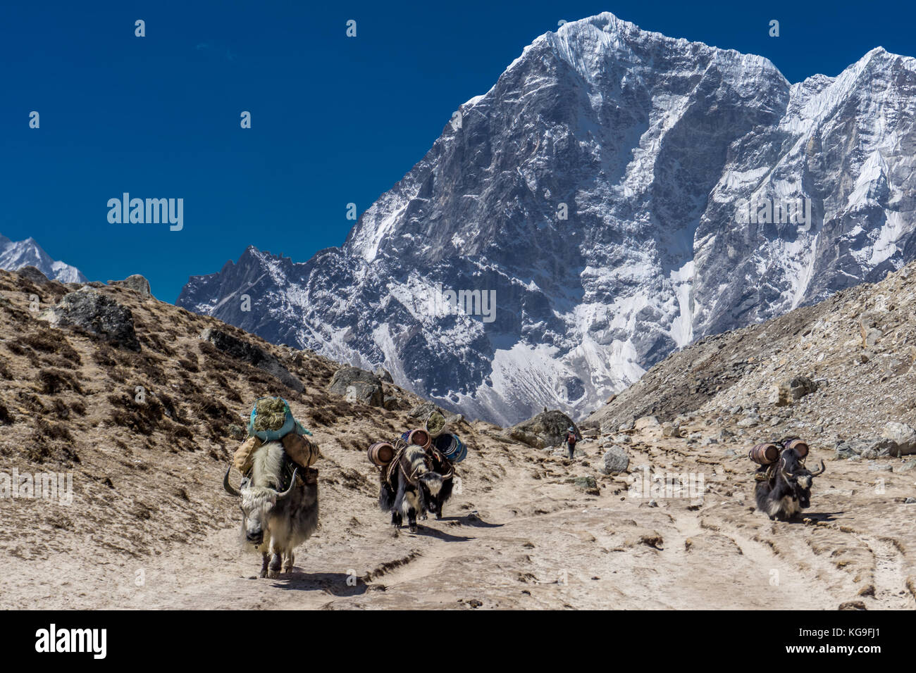 Tag 9 von EBC Trek: Gorak Shep zu Pangboche Stockfoto