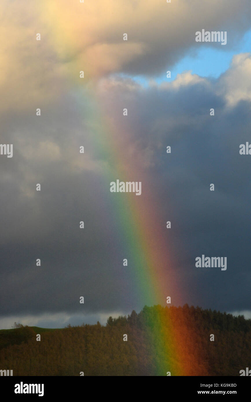 Cambrian Mountains, Wales, UK. 5. November 2017. UK Wetter - Helle Regenbogen erscheint in den Cambrian Mountains in der Nähe von Aberystwyth, Wales, UK als wechselhafter Witterung über Großbritannien Quelle: John gilbey/Alamy Live Nachrichten fort Stockfoto