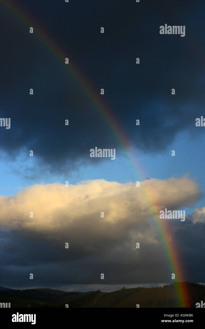 Cambrian Mountains, Wales, UK. 5. November 2017. UK Wetter - Helle Regenbogen erscheint in den Cambrian Mountains in der Nähe von Aberystwyth, Wales, UK als wechselhafter Witterung über Großbritannien Quelle: John gilbey/Alamy Live Nachrichten fort Stockfoto