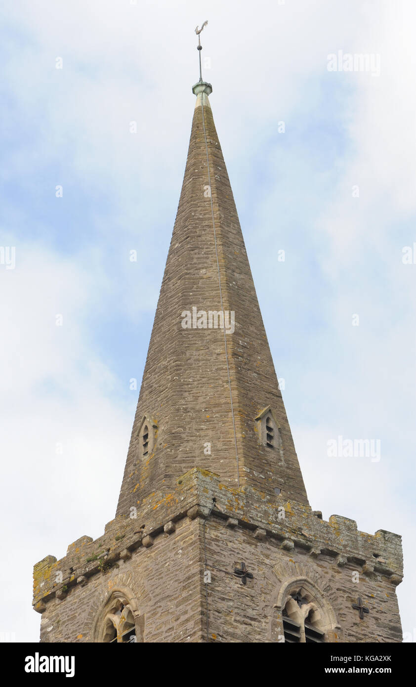 Der Turm und der Stein der Kirche des Heiligen Edmund Königs und Märtyrers. Kingsbridge Devon, England, Großbritannien. Stockfoto