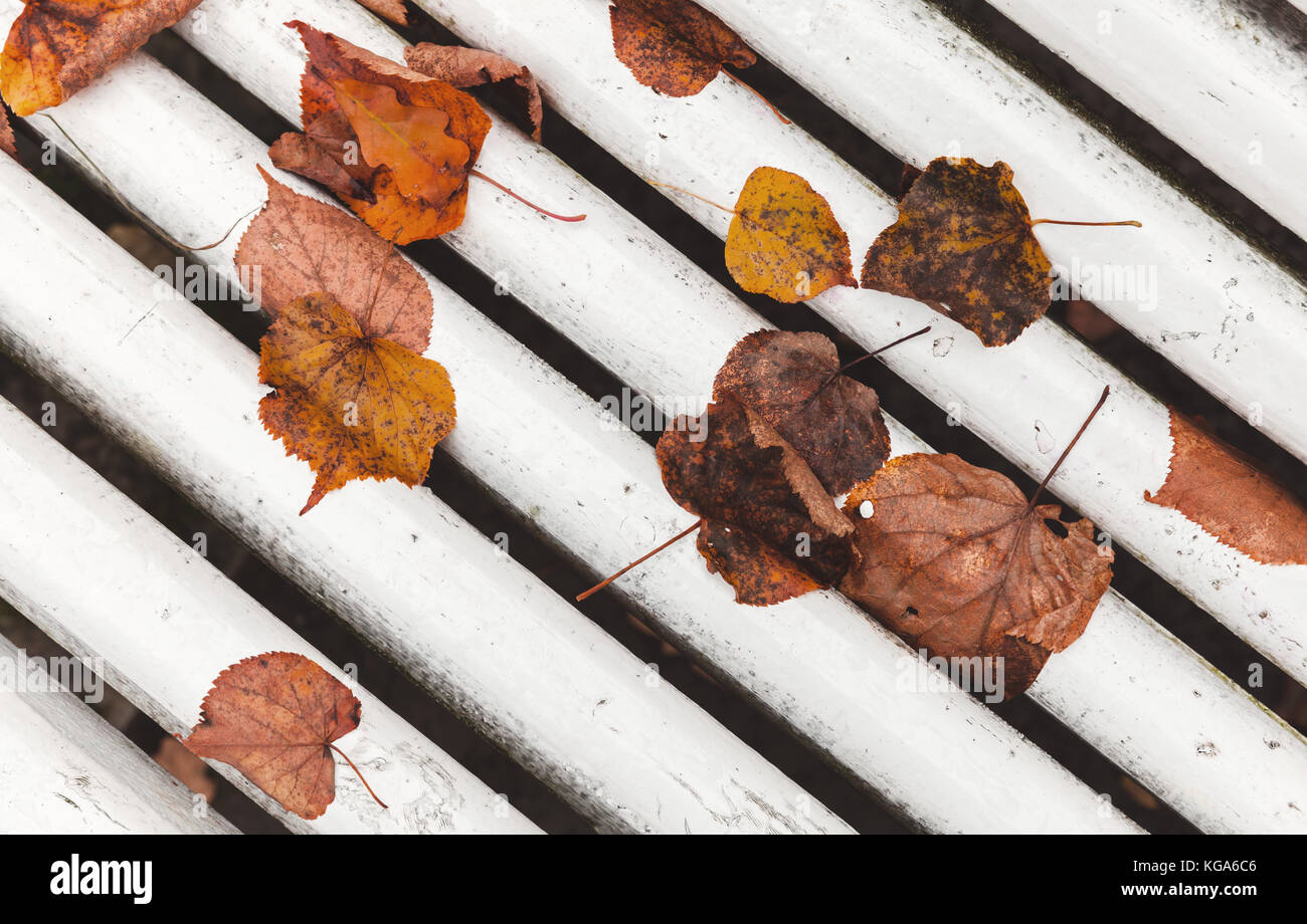 Gefallenen Blätter im Herbst auf weißem Holz Parkbank legen, Hintergrund Foto Stockfoto