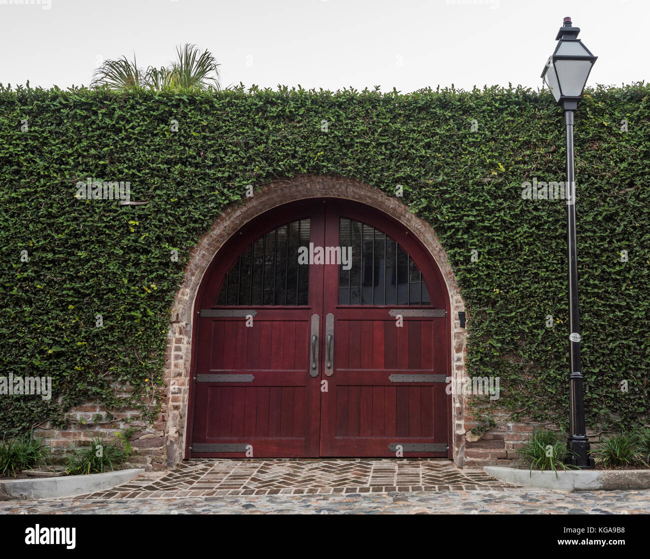 Ein Efeu bedeckten Wand roter Holztüren in Charleston, Sc. Stockfoto