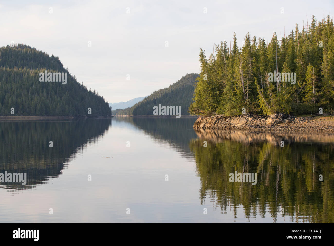 Alaskischen Wildnis, Wasser und Wald. Stockfoto