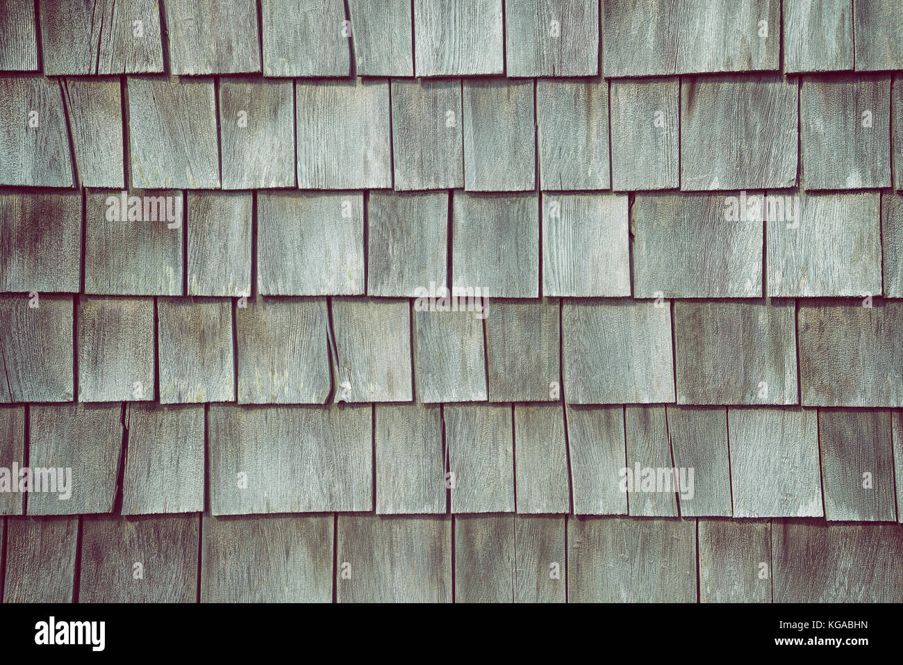 Cedar shake siding Muster für Holz- Textur Hintergrund. graue Farbe mit einem hellen Farbton grün. Stockfoto