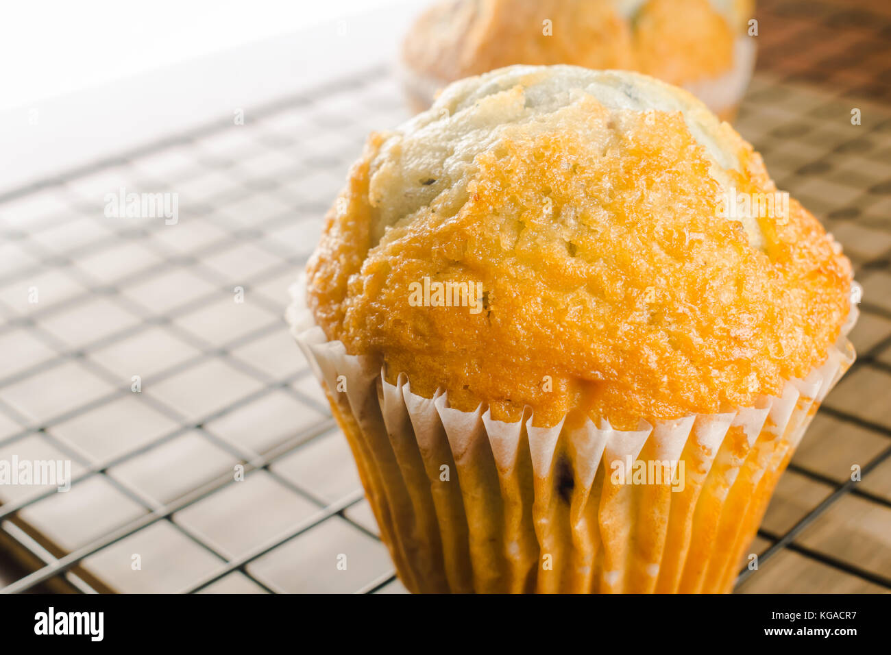 Blueberry Muffins Hintergrund; Gebäck Hintergrund; Stockfoto