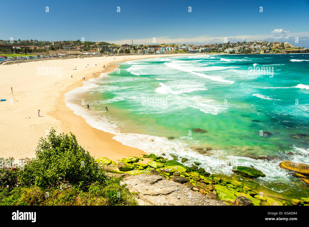 Die legendären Bondi Beach in Sydney, NSW, Australien Stockfoto