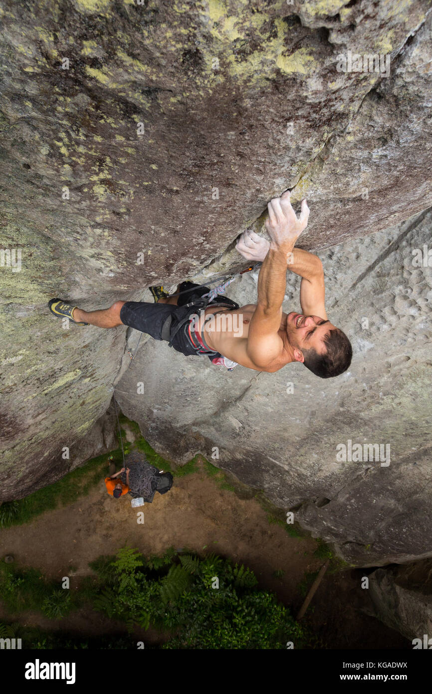 Rispenklettern in Waipapa, Neuseeland Stockfoto