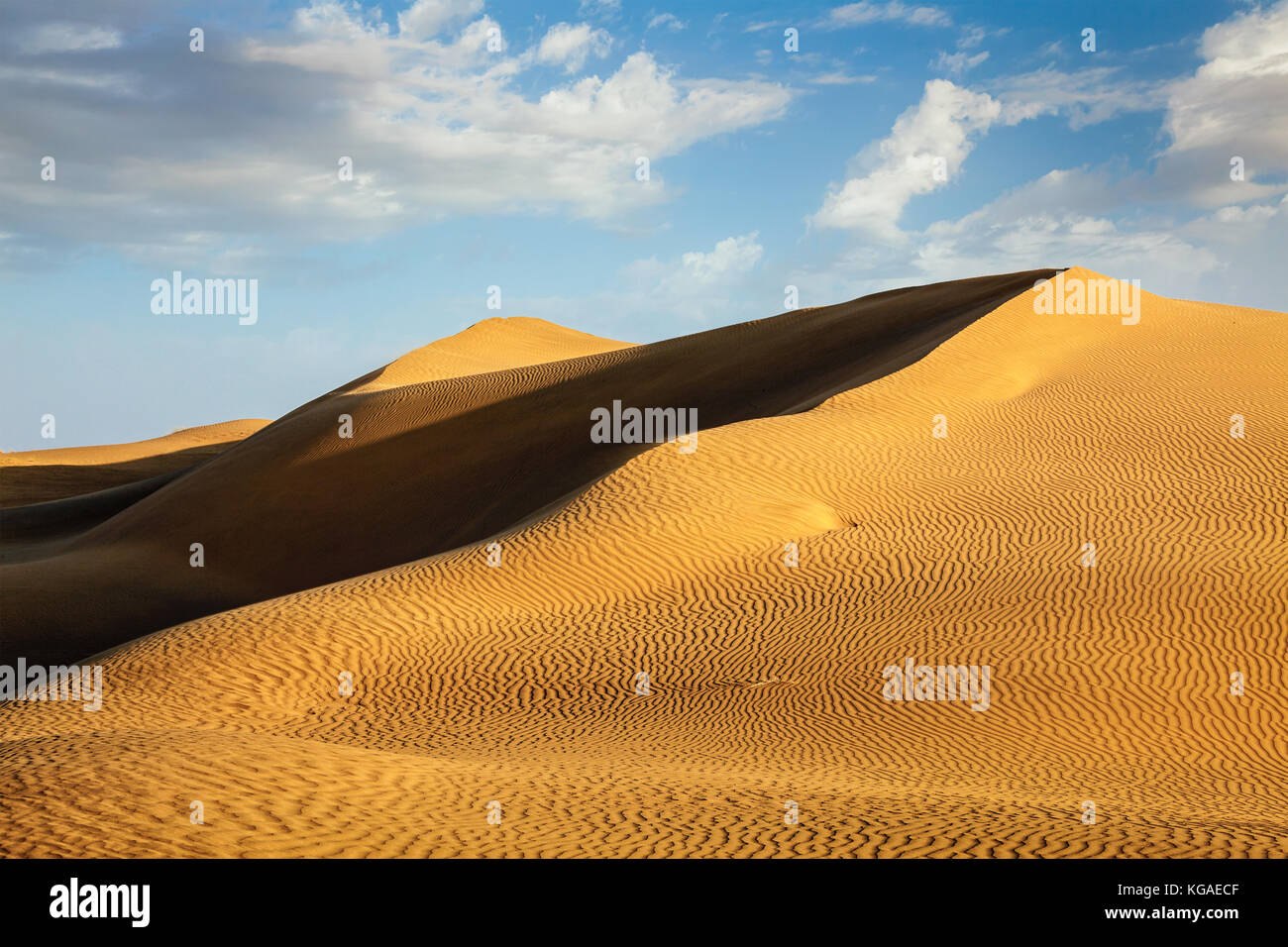 Dünen der Wüste Thar, Rajasthan, Indien Stockfoto