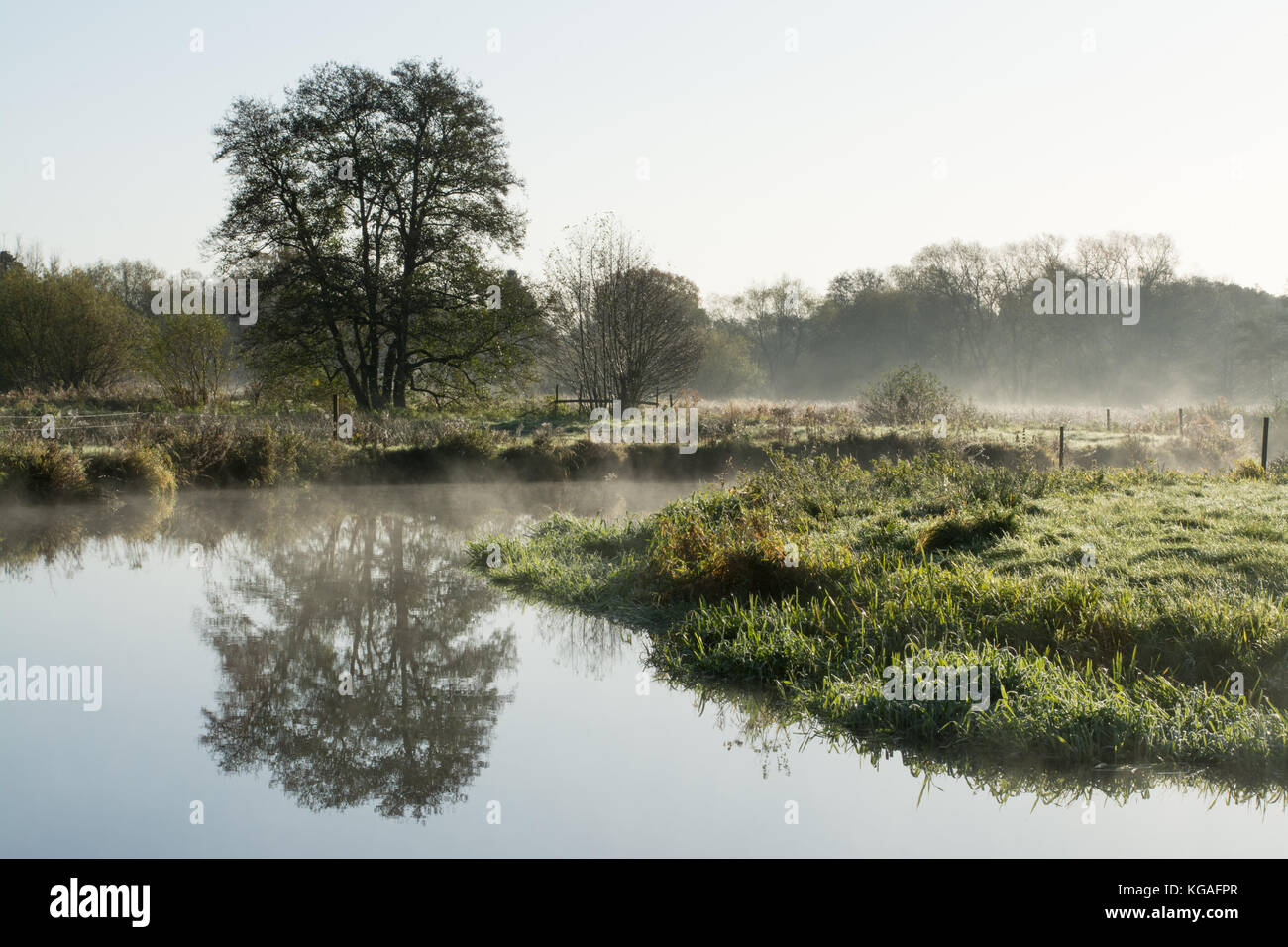 Frosty Landschaft des Flusses Wey bei Thundry Wiesen in Surrey, UK, im November. Ein schöner Tag in der englischen Landschaft. Stockfoto