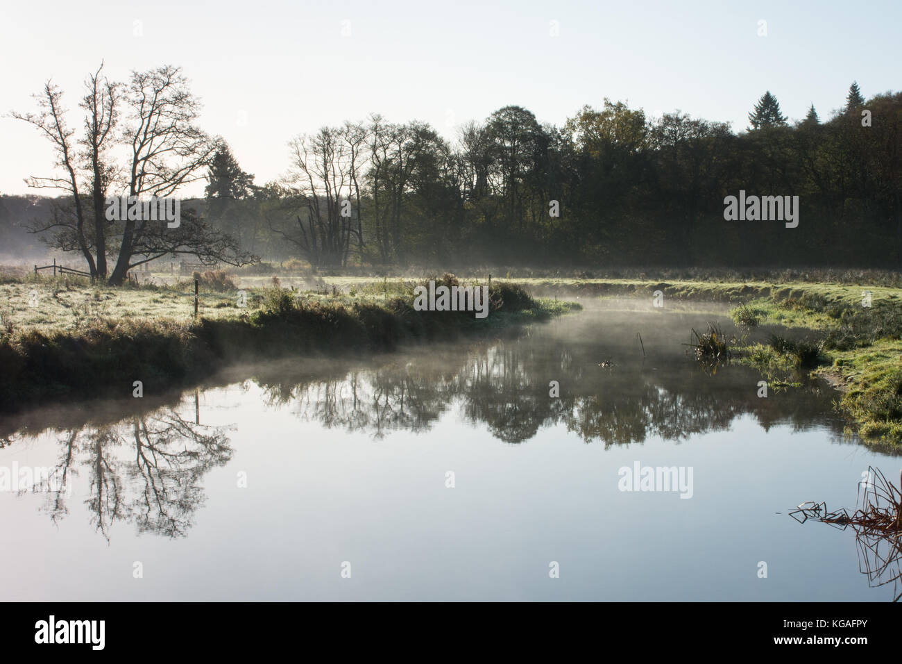 Frosty Landschaft des Flusses Wey bei Thundry Wiesen in Surrey, UK, im November. Ein schöner Tag in der englischen Landschaft. Stockfoto