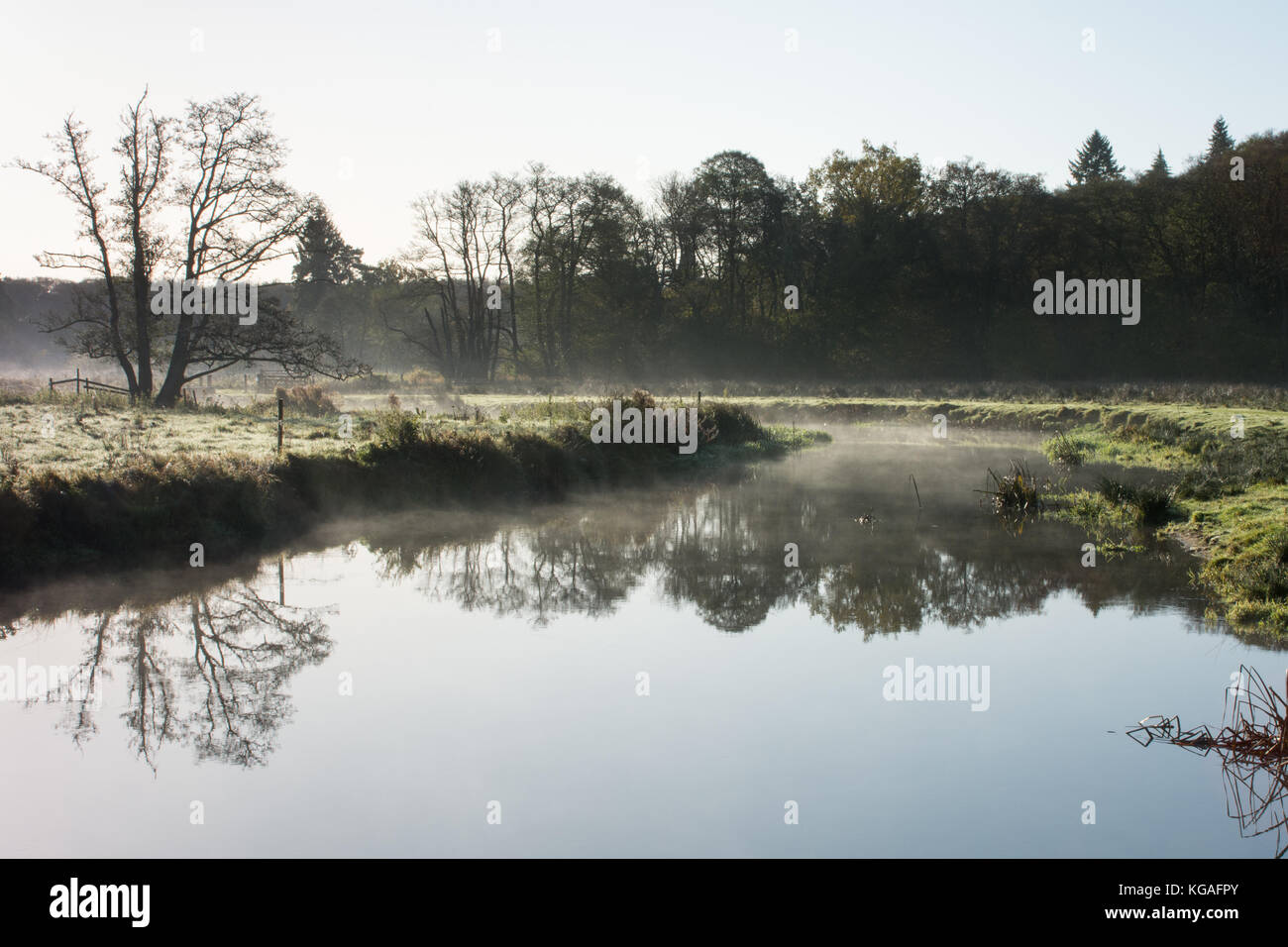 Frosty Landschaft des Flusses Wey bei Thundry Wiesen in Surrey, UK, im November. Ein schöner Tag in der englischen Landschaft. Stockfoto Frosty Landschaft des Flusses Wey bei Thundry Wiesen in Surrey, UK, im November. Ein schöner Tag in der englischen Landschaft. Stockfoto