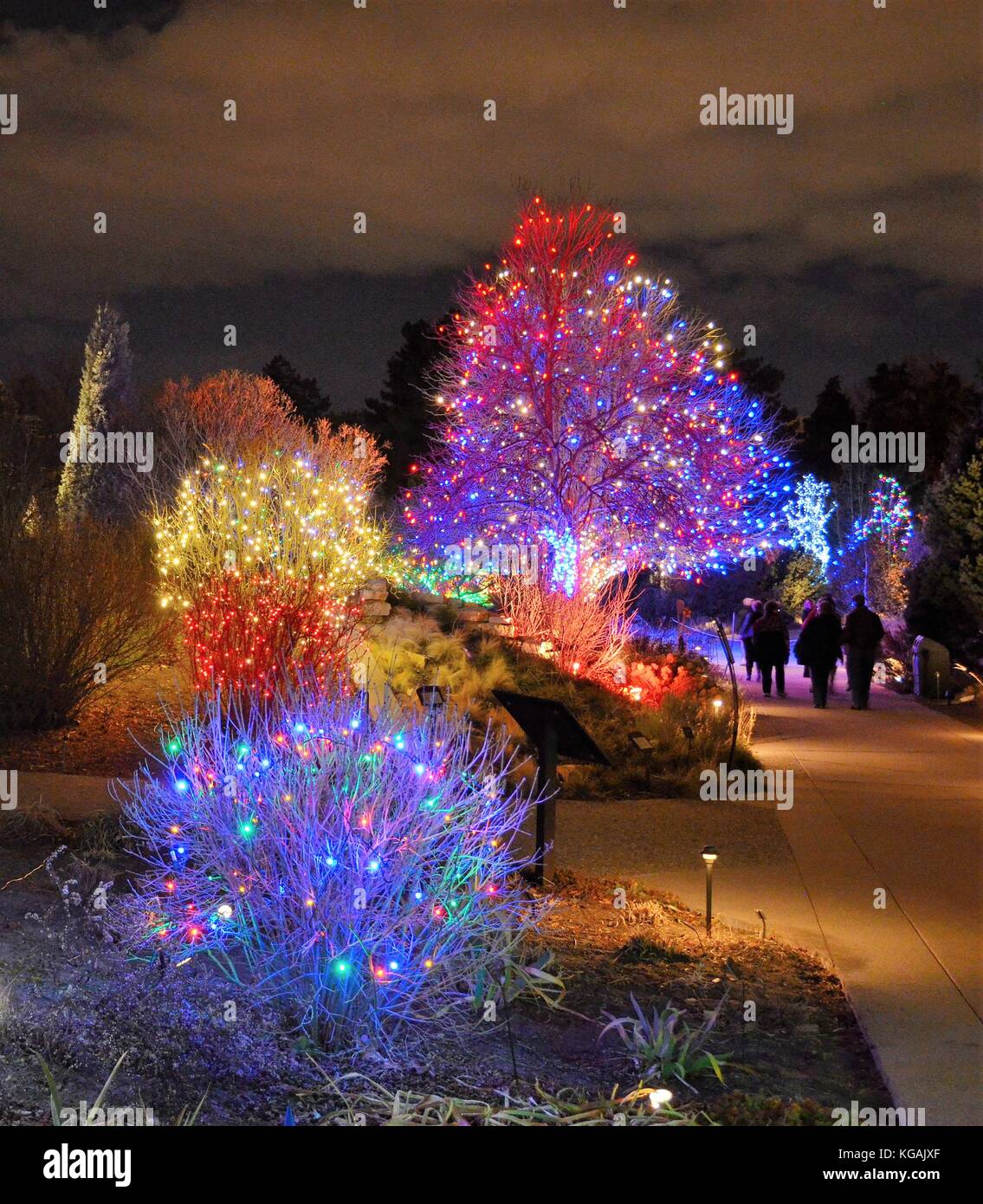 Outdoor Baum leuchtet Stockfoto