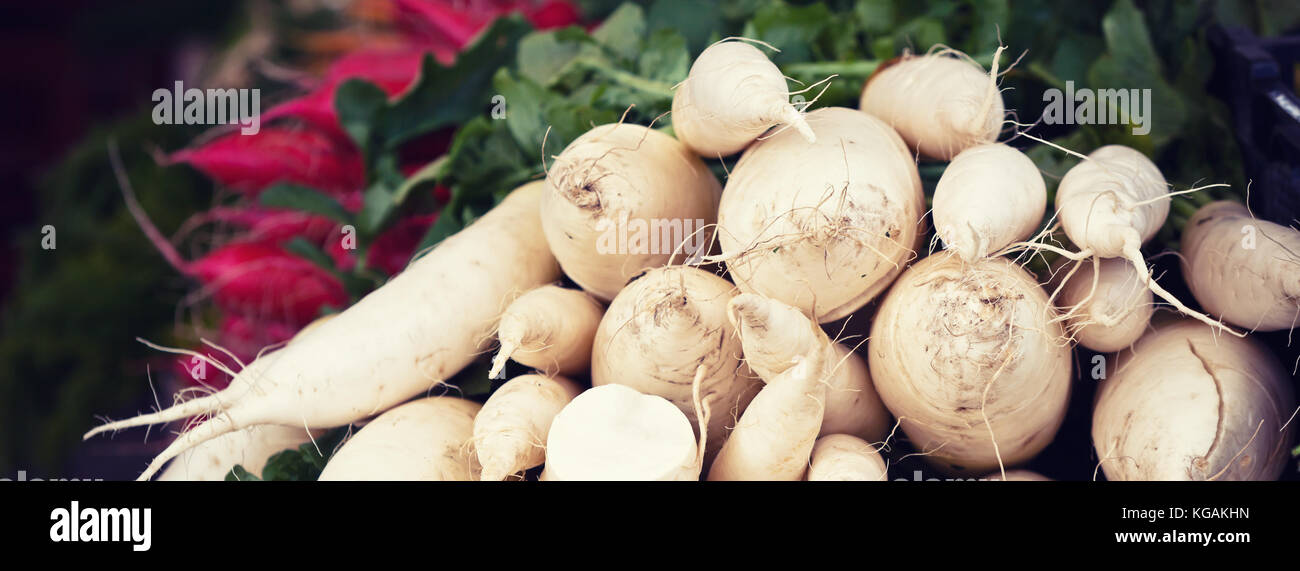 Weiße rettiche Stapel in einen Markt. Lange breite Banner Stockfoto