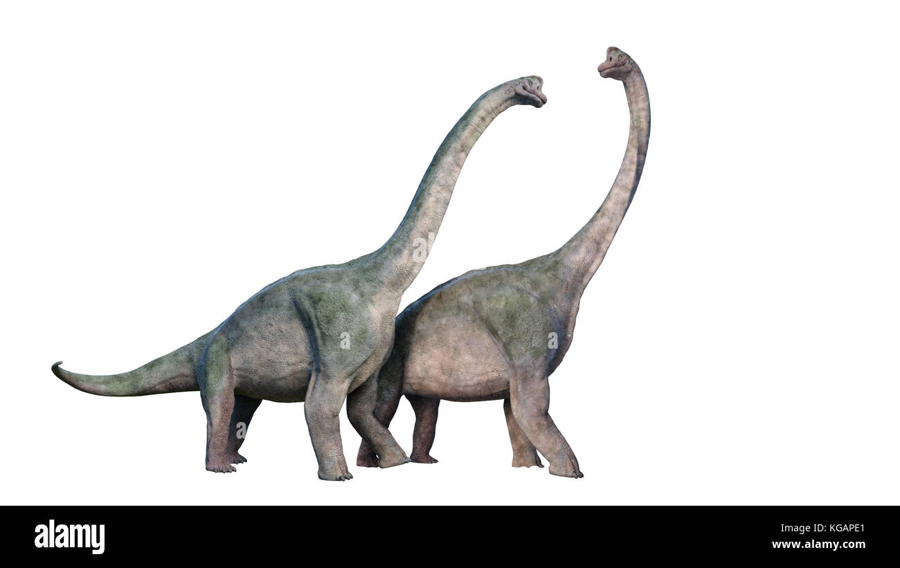 Brachiosaurus altithorax-Paar Stockfoto