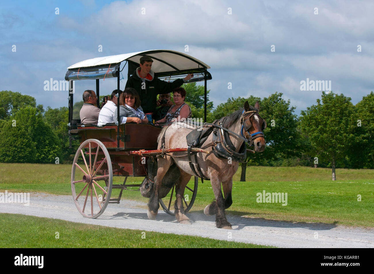 Jaunting Auto mit Touristen am Muckross House und Gärten, Nationalpark Killarney, County Kerry, Irland Stockfoto