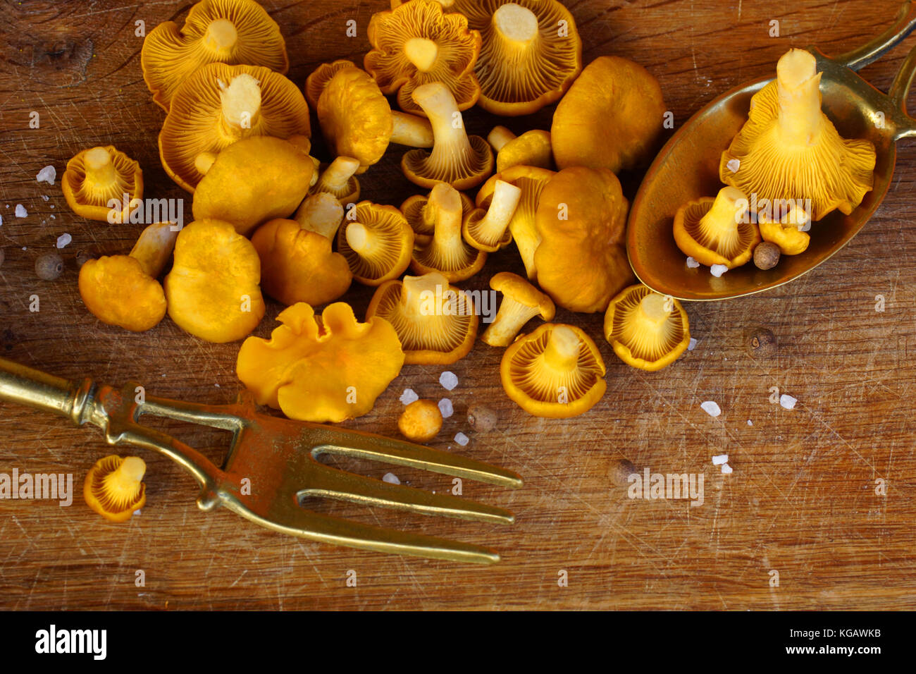 Pfifferlinge auf der alten Eiche Küche. п Stockfoto