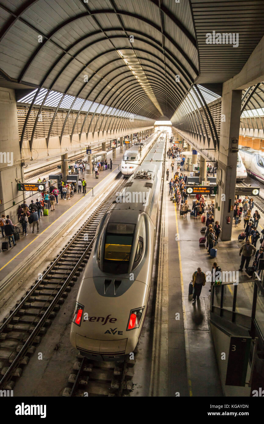 RENFE AVE Hochgeschwindigkeitszüge, Bahnhof Santa Justa, Sevilla, Andalusien, Spanien Stockfoto