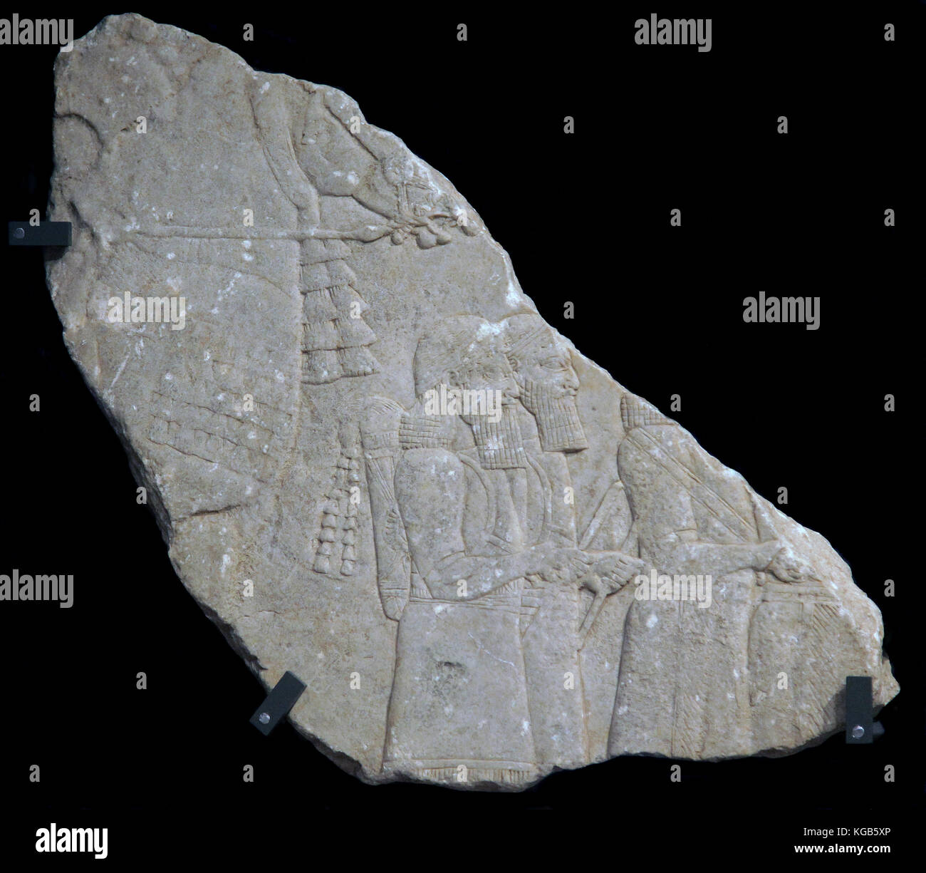 Kalkstein Relief mit des Königs Pferd Ninive assyrischen Könige 7. Jahrhundert v. Chr. Stockfoto