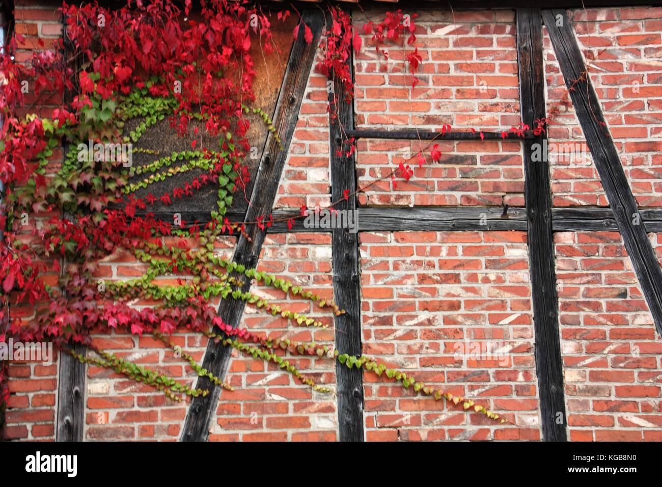 Fachwerkhaus in Deutschland mit rote Blätter im Herbst Stockfoto