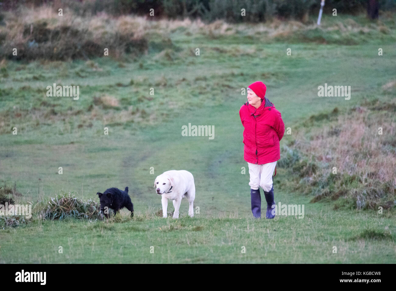 Flintshire, Norden, Großbritannien. 6 Nov, 2017. UK Wetter. Clearing skies über Nacht haben viele mit einem Kaltstart mit einigen Temperaturen in Großbritannien bis zu -4,5 C. links Ein moring Dog Walker gekleidet oder dem kalten Wetter zu Fuß auf halkyn Berg in der Nähe des Dorfes Rhosesmor Credit: DGDImages/Alamy leben Nachrichten Stockfoto