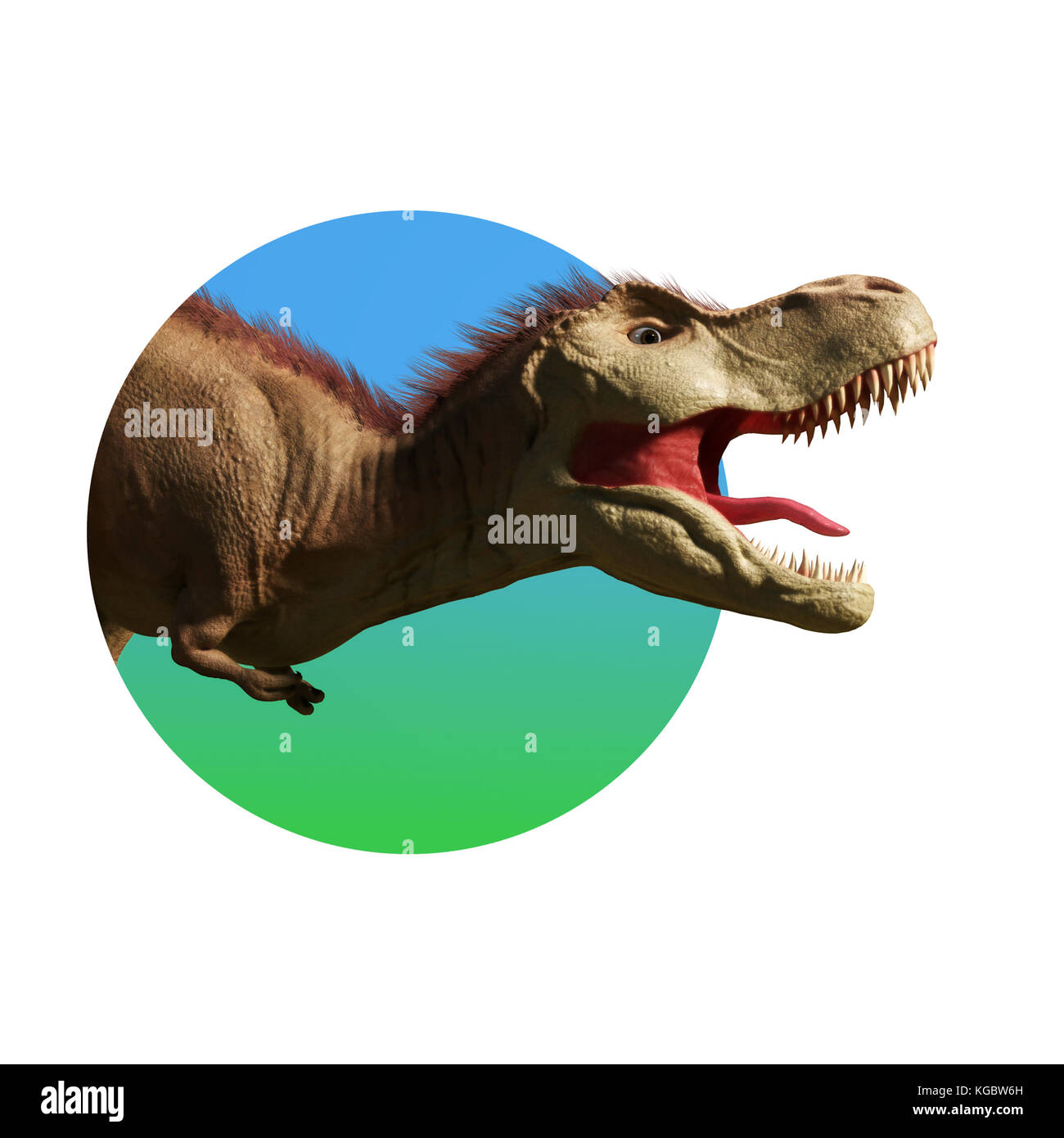 Tyrannosaurus rex, Nahaufnahme T-rex Dinosaurier, der durch die Wand schaut (3D-Illustration isoliert auf weißem Hintergrund) Stockfoto