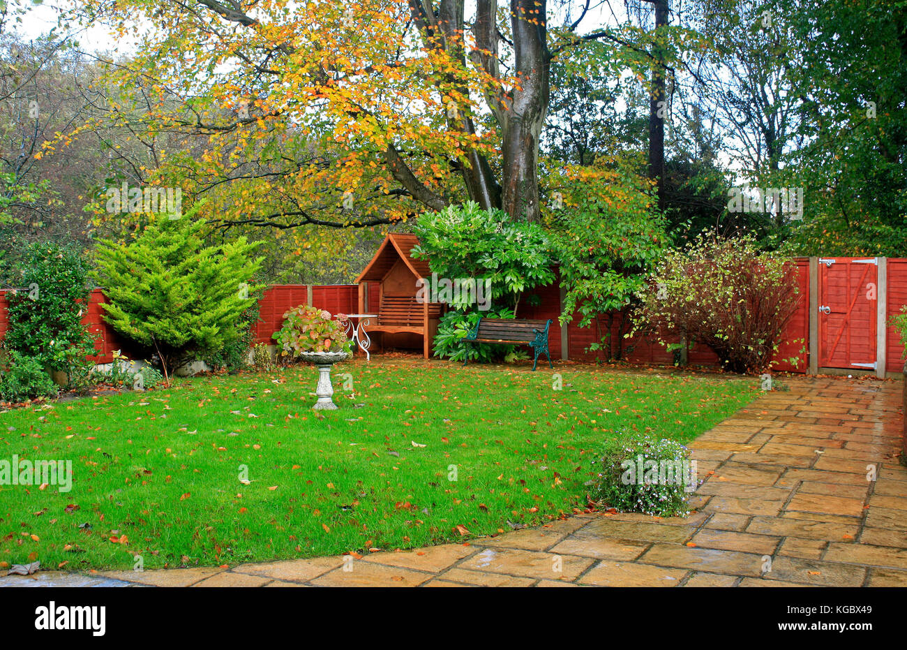 Farbenfrohe Bunte Herbst im Garten Wales UK Vereinigtes Königreich Stockfoto