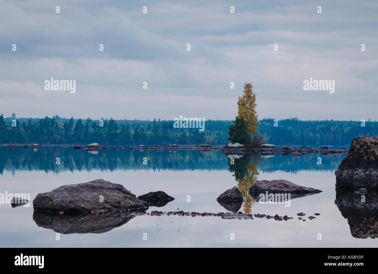 Einsamer Baum in einem See in der Mitte von Nirgendwo in Schweden Stockfoto