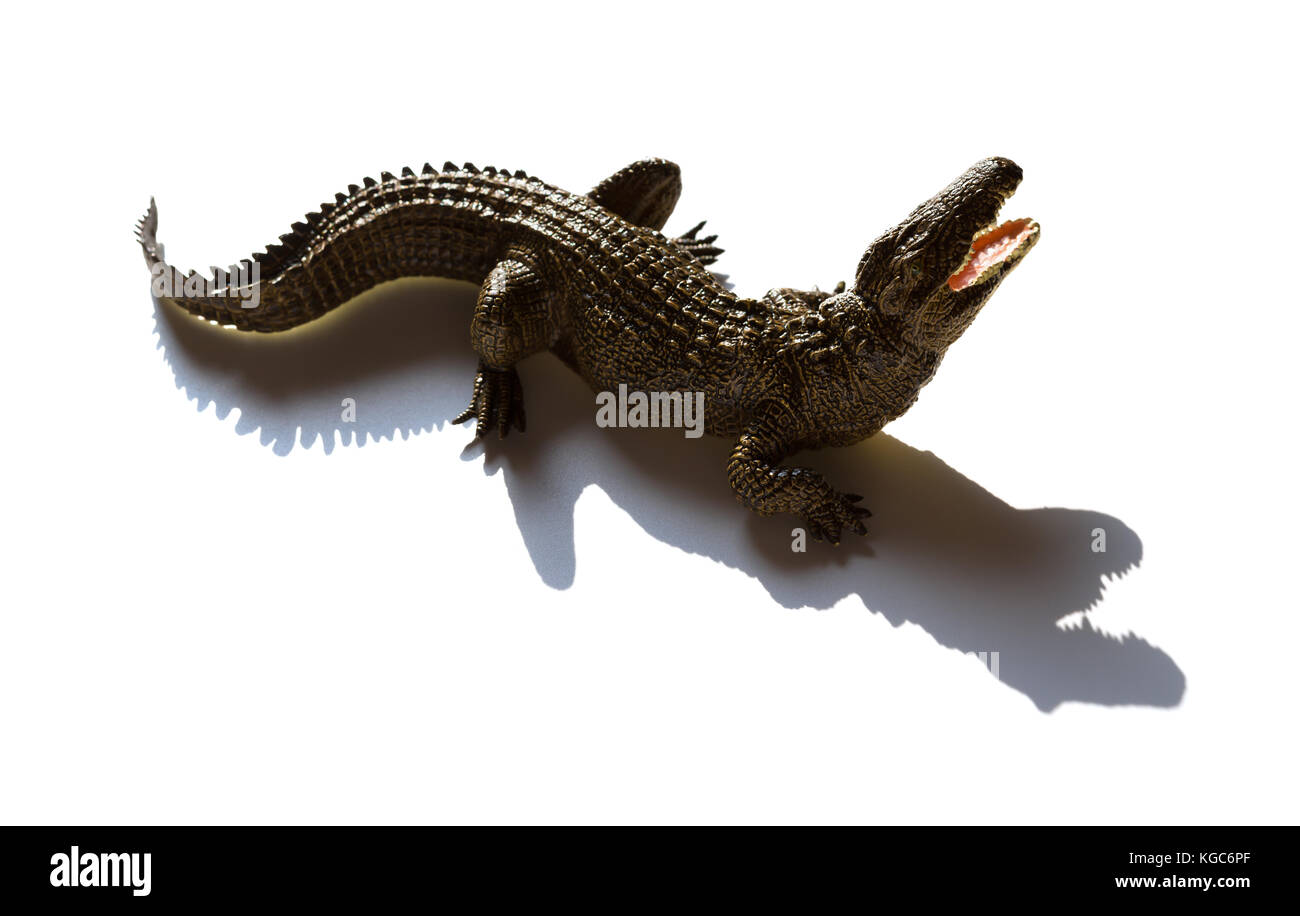 Aligator Spielzeug auf weißem Hintergrund Stockfoto