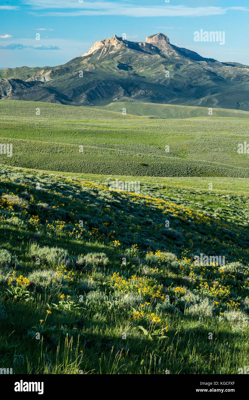 Herz Berg in den Bighorn Basin in Wyoming Stockfoto
