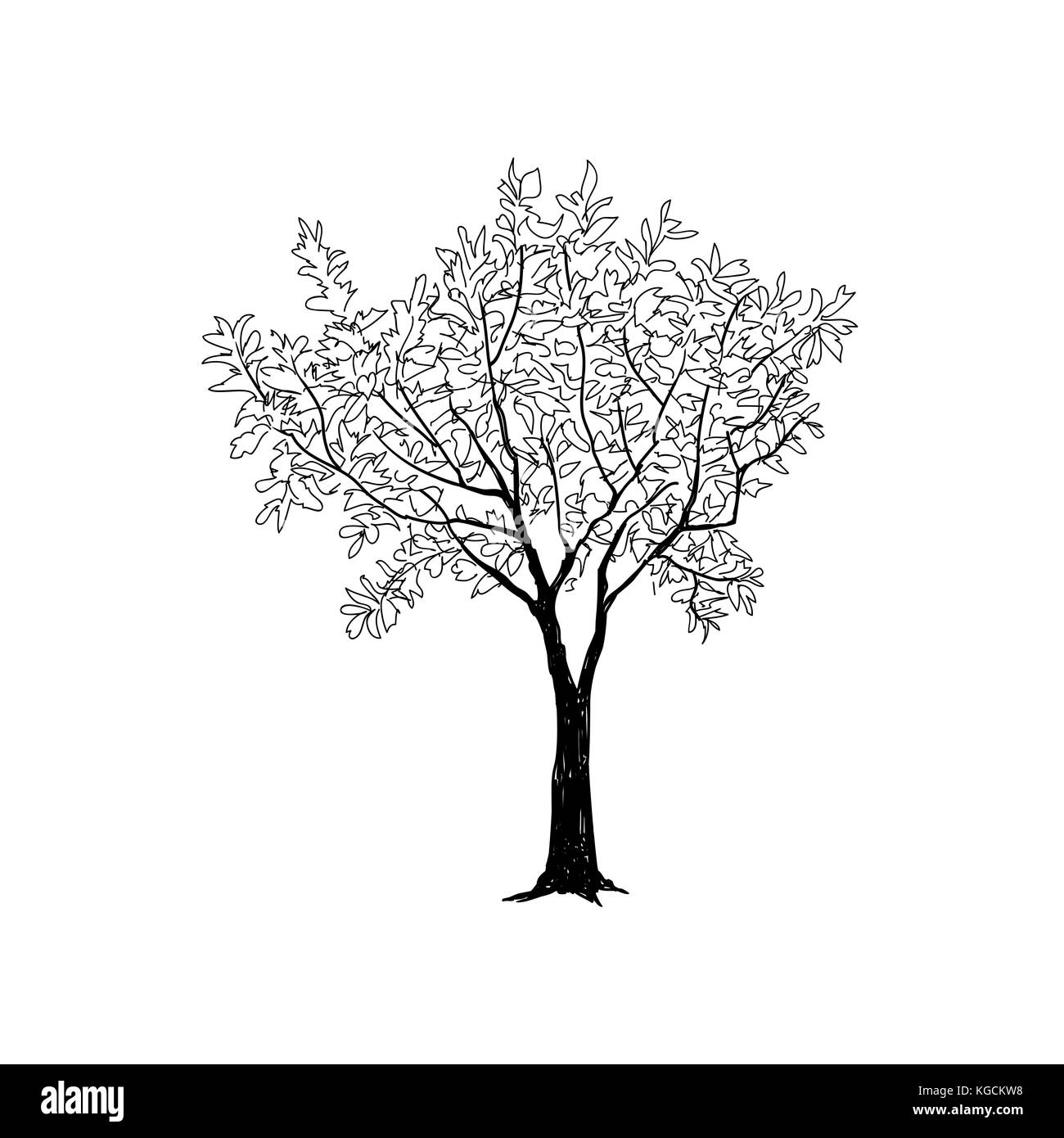 Baum mit Blättern gezeichnete Skizze. Sommer-Natur-Zeichen Stock Vektor