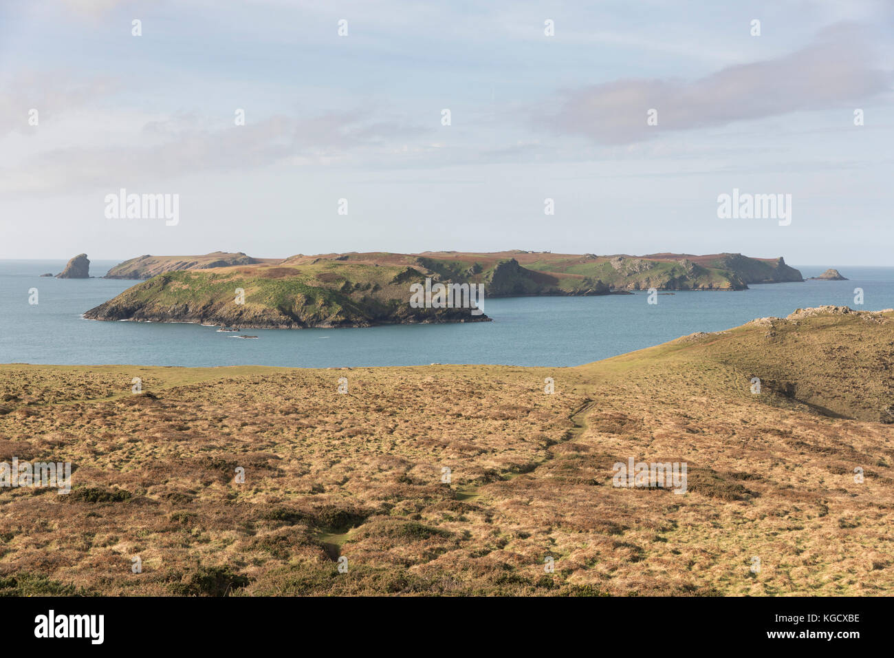 Skomer-Insel aus Wooltack Point, Pembrokeshire, Wales, Großbritannien Stockfoto