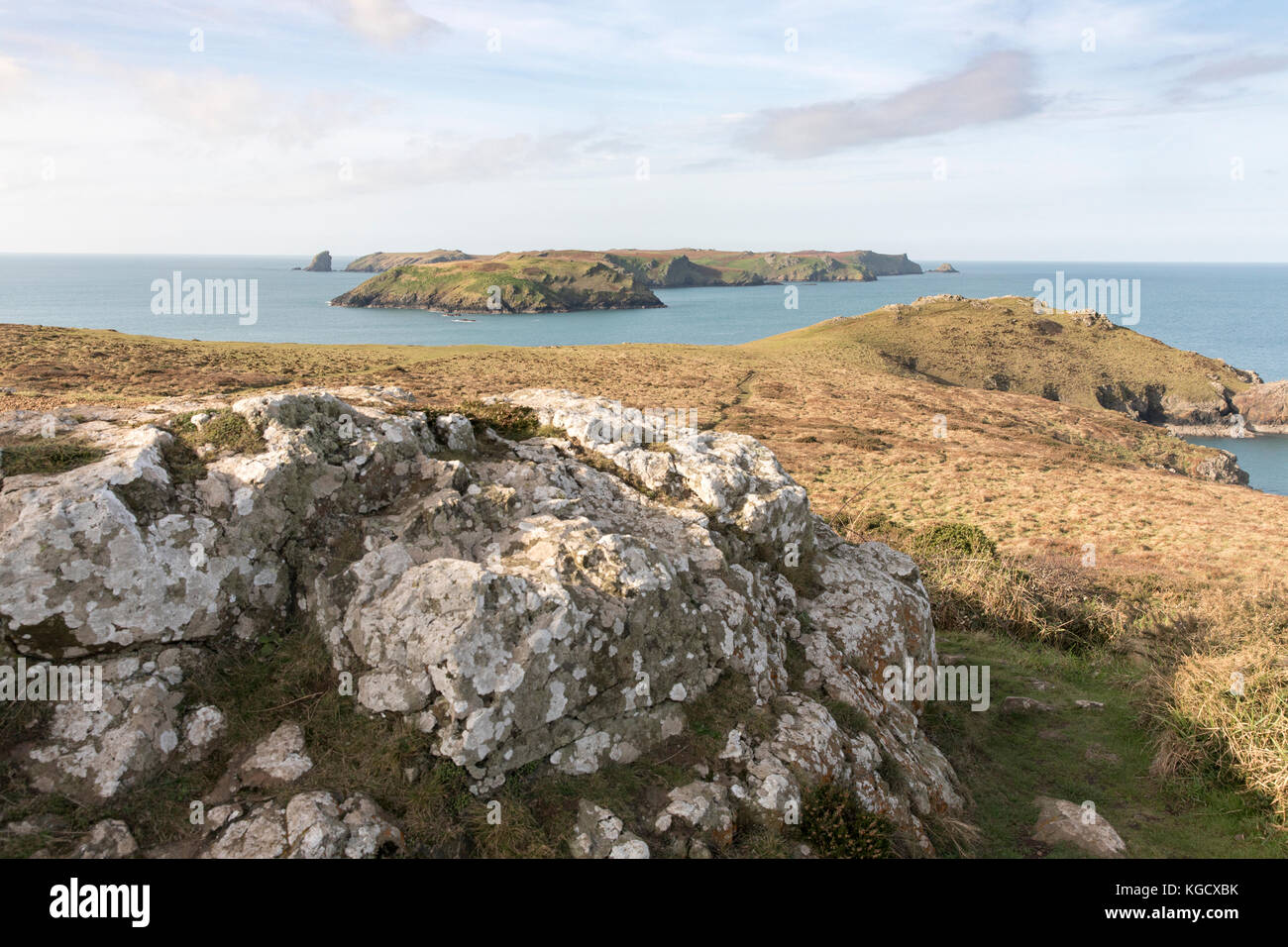 Skomer-Insel aus Wooltack Point, Pembrokeshire, Wales, Großbritannien Stockfoto