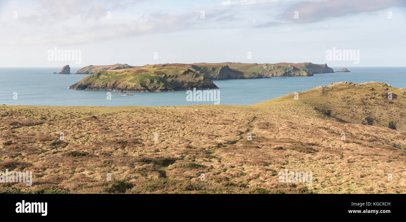 Skomer-Insel aus Wooltack Point, Pembrokeshire, Wales, Großbritannien Stockfoto