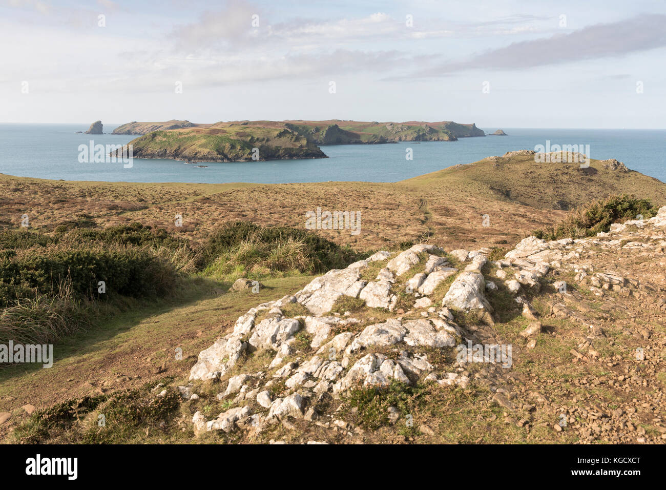 Skomer-Insel aus Wooltack Point, Pembrokeshire, Wales, Großbritannien Stockfoto