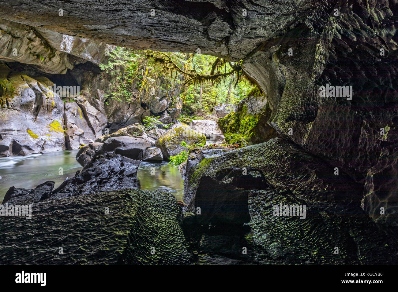 Atluck Creek durch die Besetzung Kalkstein erstellen Huson natürliche Brücke Höhle in wenig huson Höhle Regional Park schneiden, nördlichen Vancouver Island, Brit Stockfoto