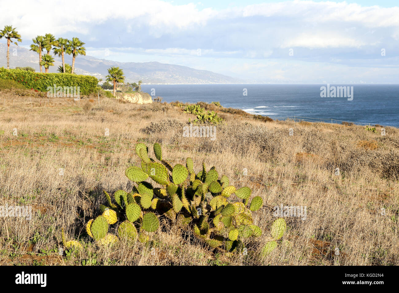 Point Dume Naturschutzgebiet, Malibu Kalifornien Stockfoto