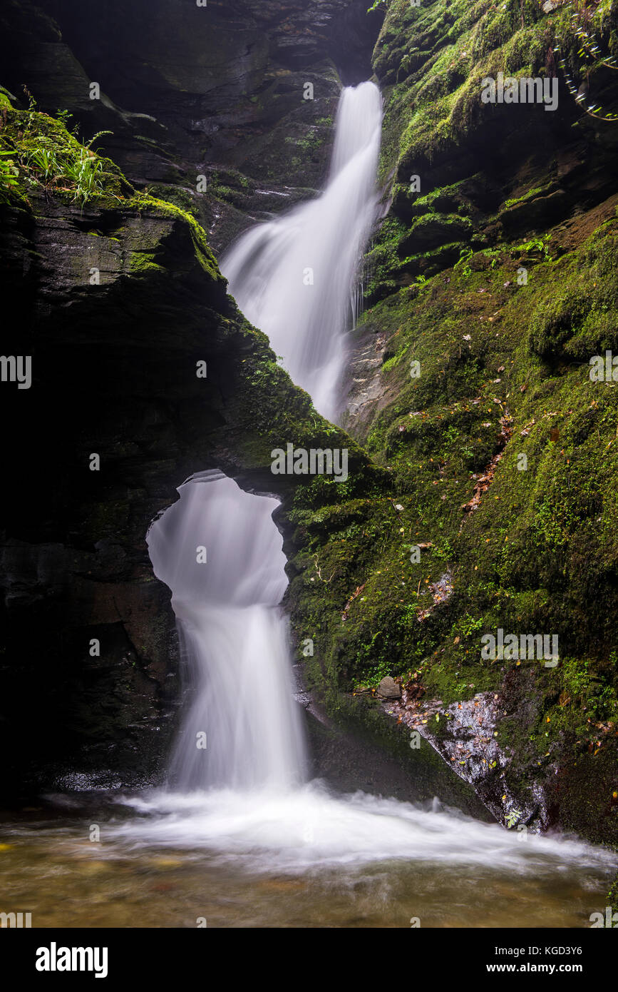 Der Wasserfall am Glen nectans in Cornwall. Stockfoto