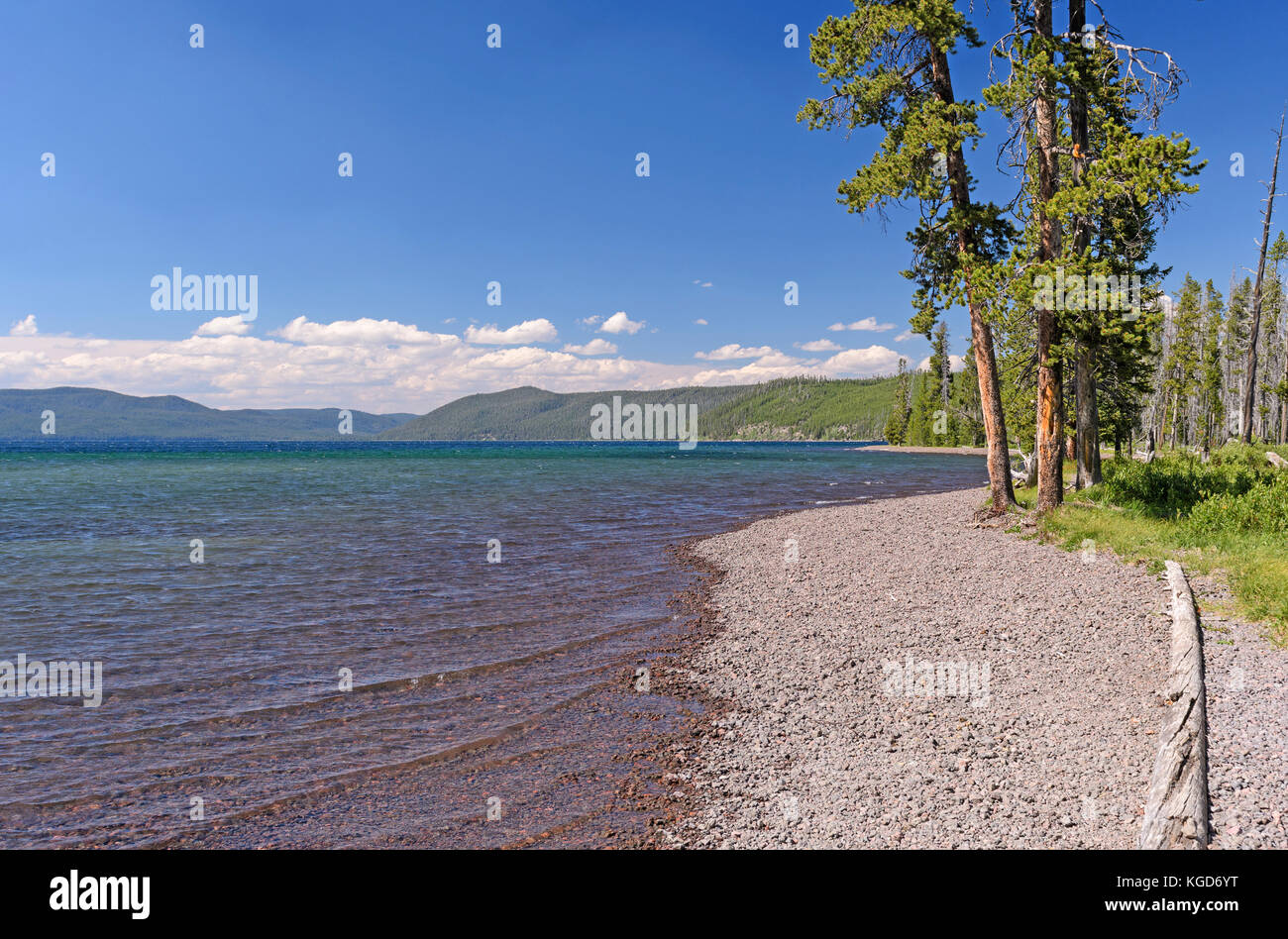 Shoshone Lake an einem Sommertag im Yellowstone National Park in Wyoming Stockfoto