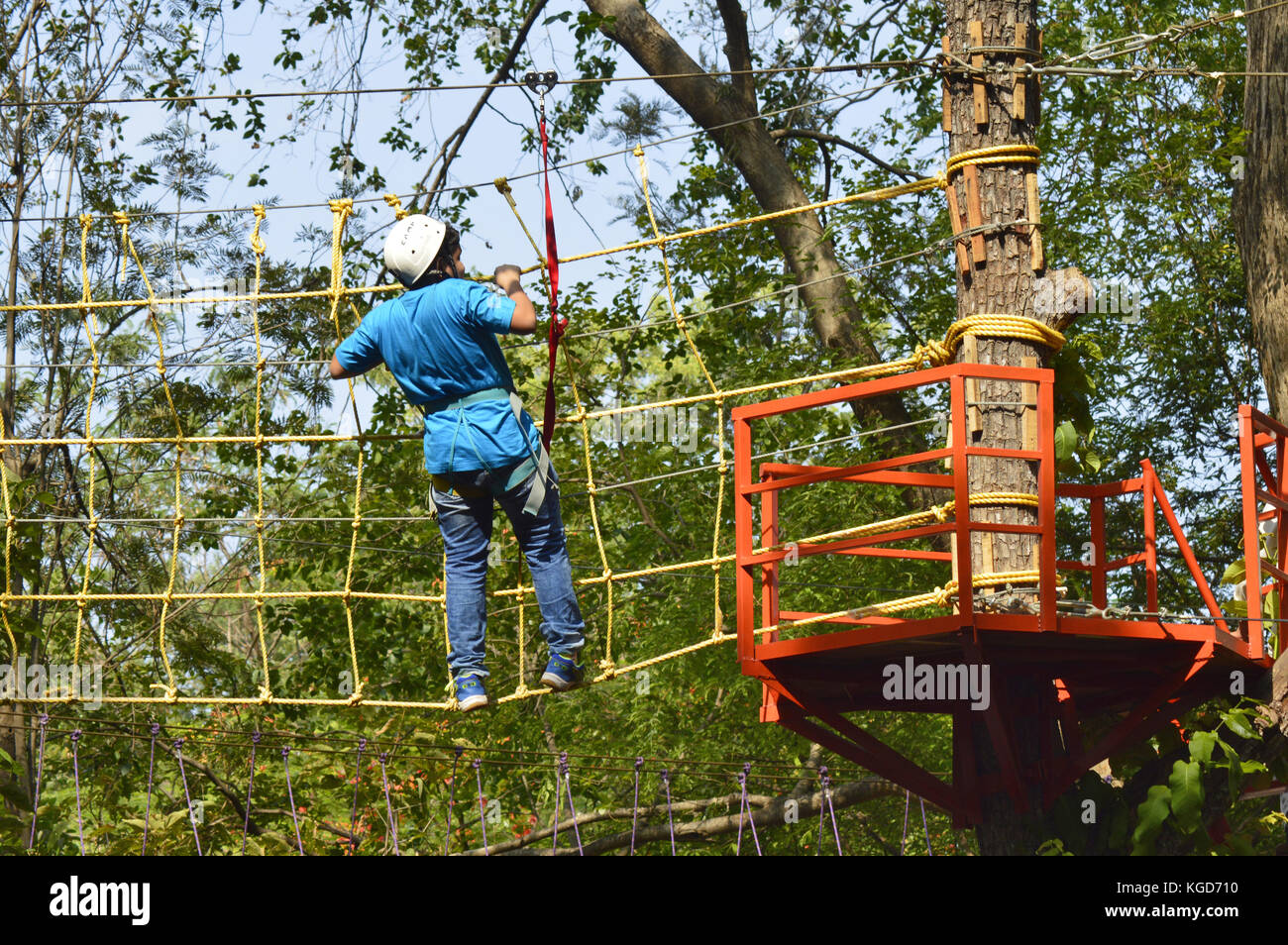 Seil Hindernis auf Tree Top Stockfoto
