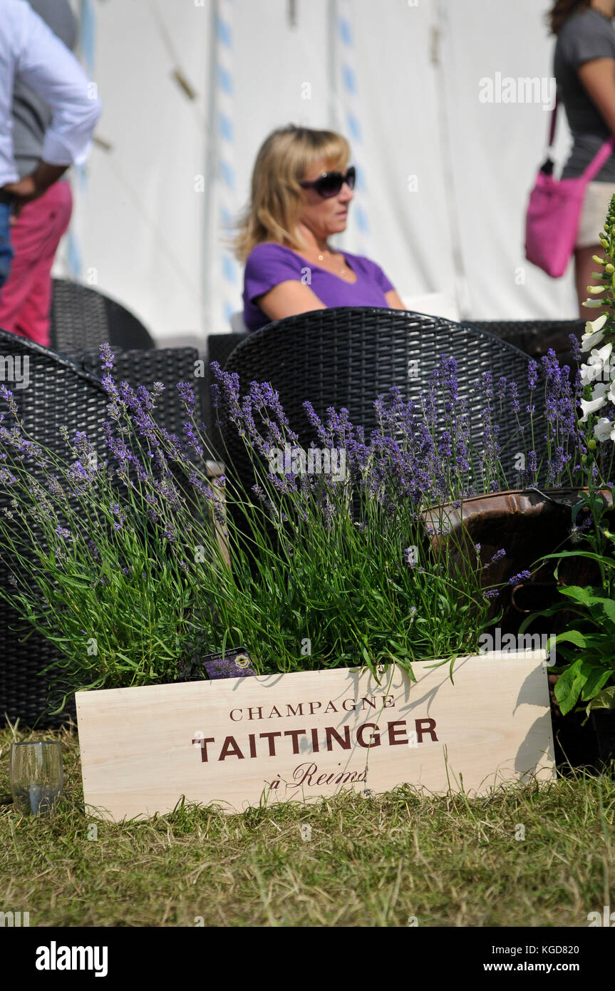 Eine Frau saß vor einem Zelt Bar bei einem Glas Taittinger Champagner beim Glastonbury Festival - 2013. Stockfoto