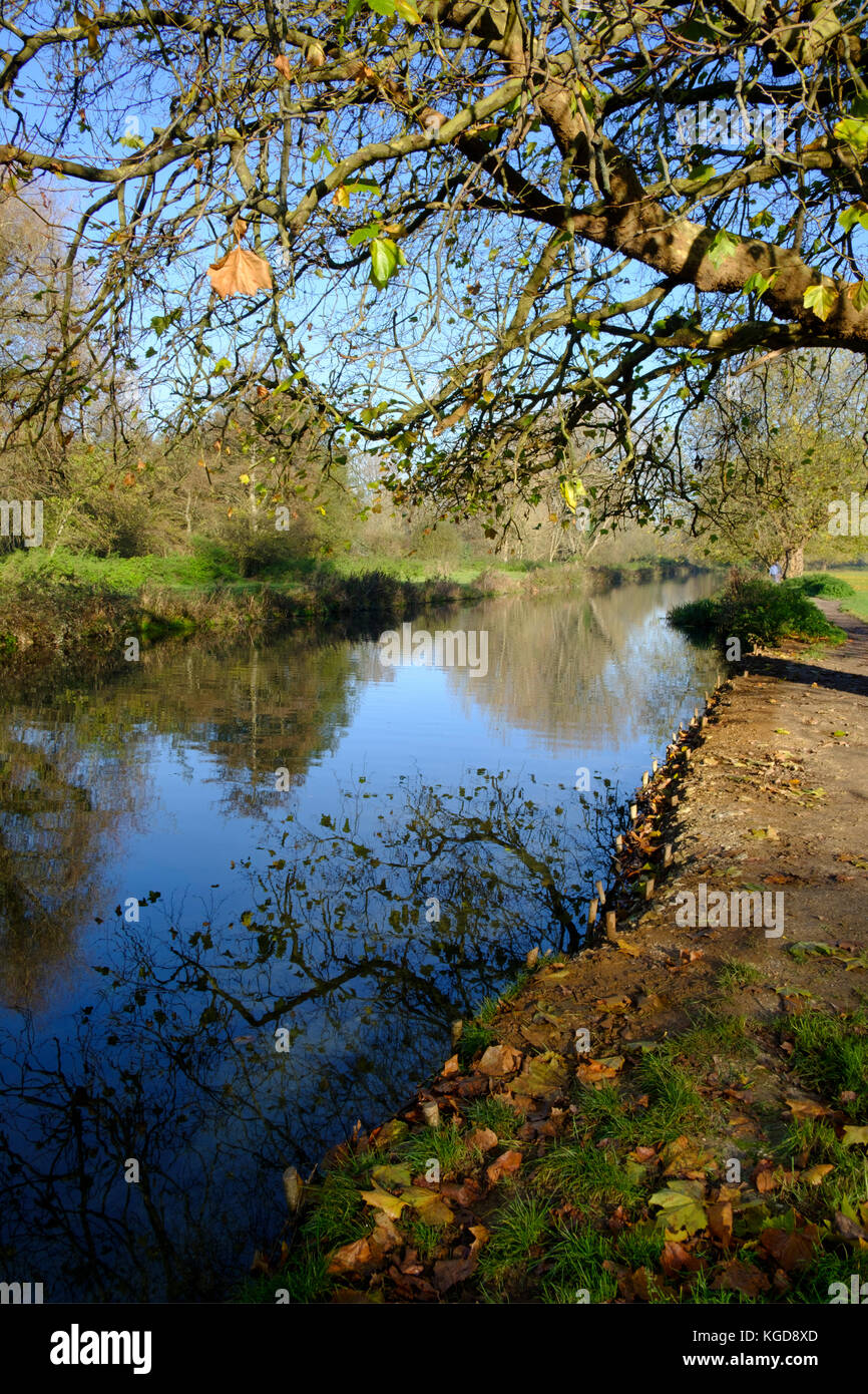 Fluss Itchen Winchester auf einem herrlichen sonnigen Herbsttag. Die itchen River ist ein Fluss in Hampshire, England. Er fließt von Mitte Hampshire Stockfoto